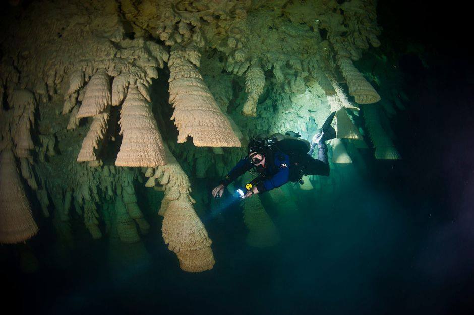 OM Delfin – Diving in Puerto Morelos