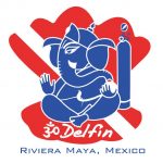 OM Delfin - Diving in Puerto Morelos